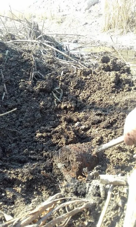 ANAMA: Cocuq Mərcanlı kəndində xeyli qəlpə, 3 ədəd mina gövdəsi və 1 ədəd piyada əleyhinə mina aşkarlanıb