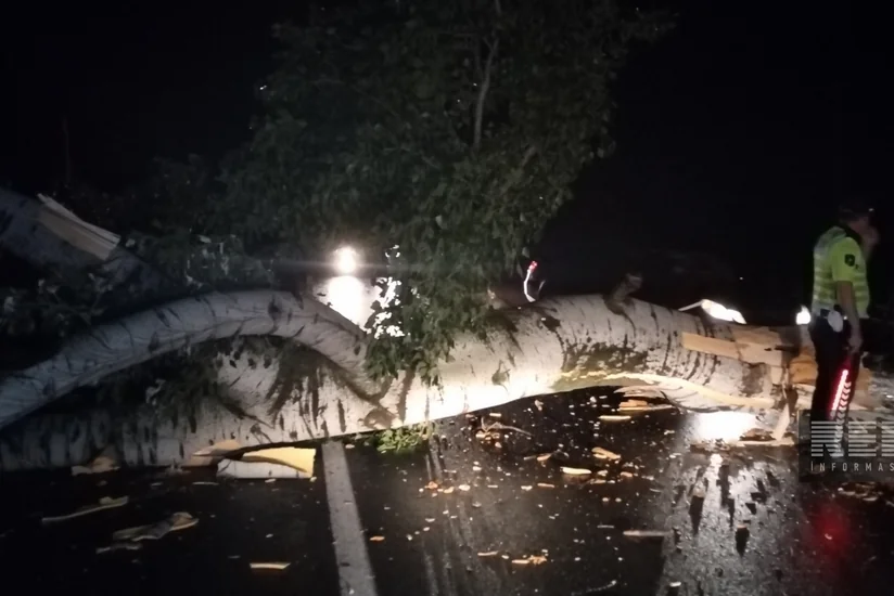Oğuzda aşan ağaca görə bağlanan magistral yolda hərəkət bərpa olunub 