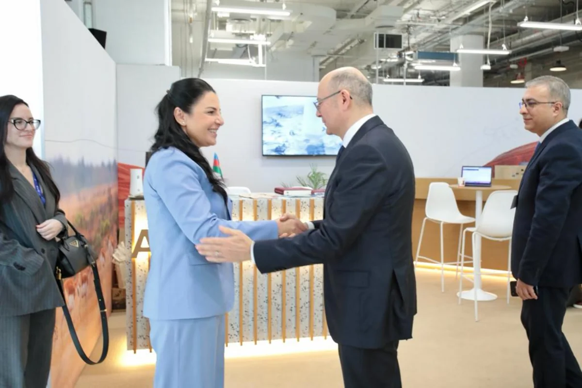 Azerbaijan-Albania energy cooperation discussed in UAE