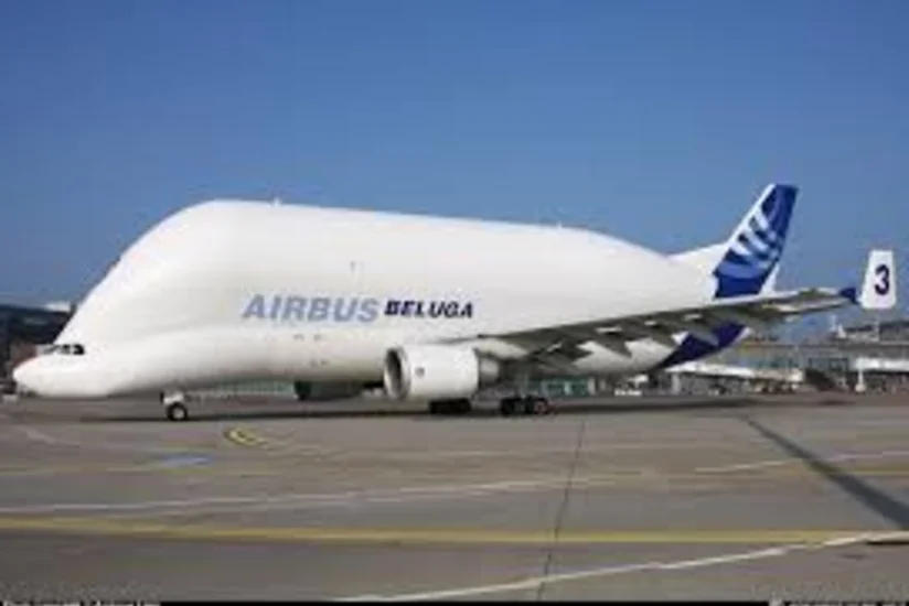 Airbus Almaniya hökümətindən casusluq fəaliyyəti haqqında məlumat istəyib