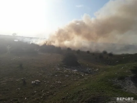 Bərdədə mal bazarının yaxınlığında yanğın baş verib - FOTO