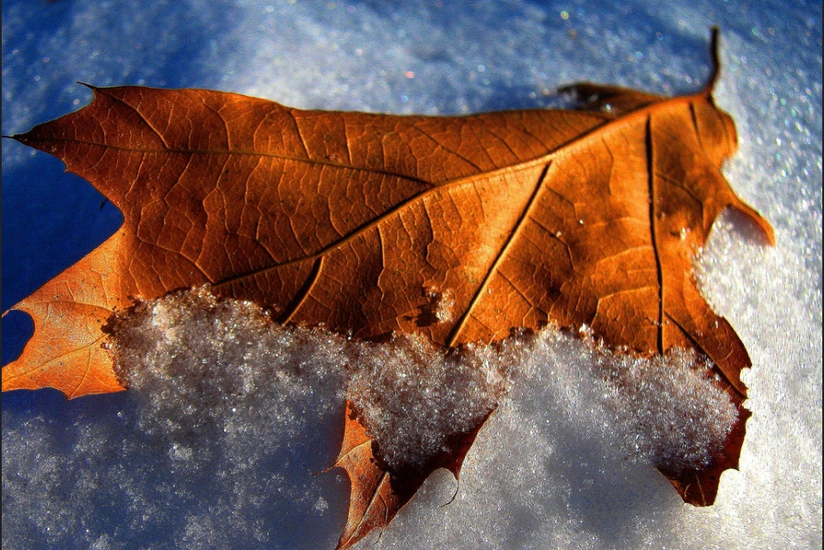 Weather forecast for December announced