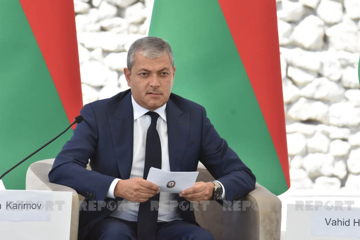 Aydın Kərimov: “Daşaltıda bərpa işləri ilə bağlı baş planının hazırlanması son mərhələdədir”
