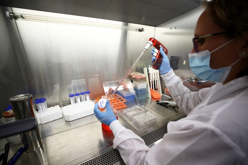 Scientists say COVID can multiply in salivary gland cells