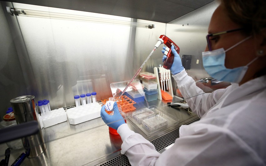 Scientists say COVID can multiply in salivary gland cells