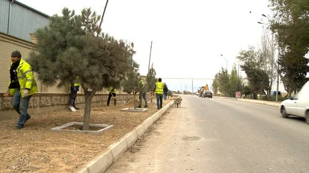 Zığ-Suraxanı yolunun 2,7 km-lik hissəsinin yenidən qurulması yekunlaşır