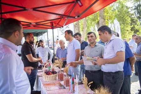 İsmayıllıda toxum sərgi-satış yarmarkası keçirilib
