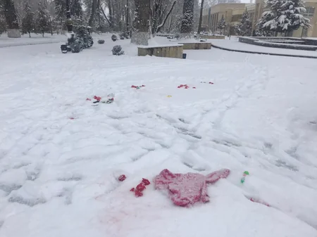 Xocalı soyqırımının 29-cı ildönümü ilə bağlı fləşmob təşkil olunub