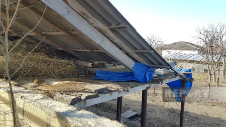 Güclü külək Göyçayda fəsadlar törədib