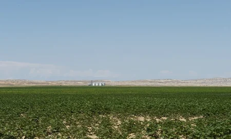 Prezident Goranboyda “Region Agro” MMC-nin açılışında iştirak edib - YENİLƏNİB