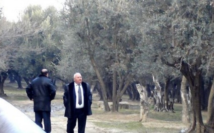 Akif Çovdarov aclıq aksiyasına başlayıb