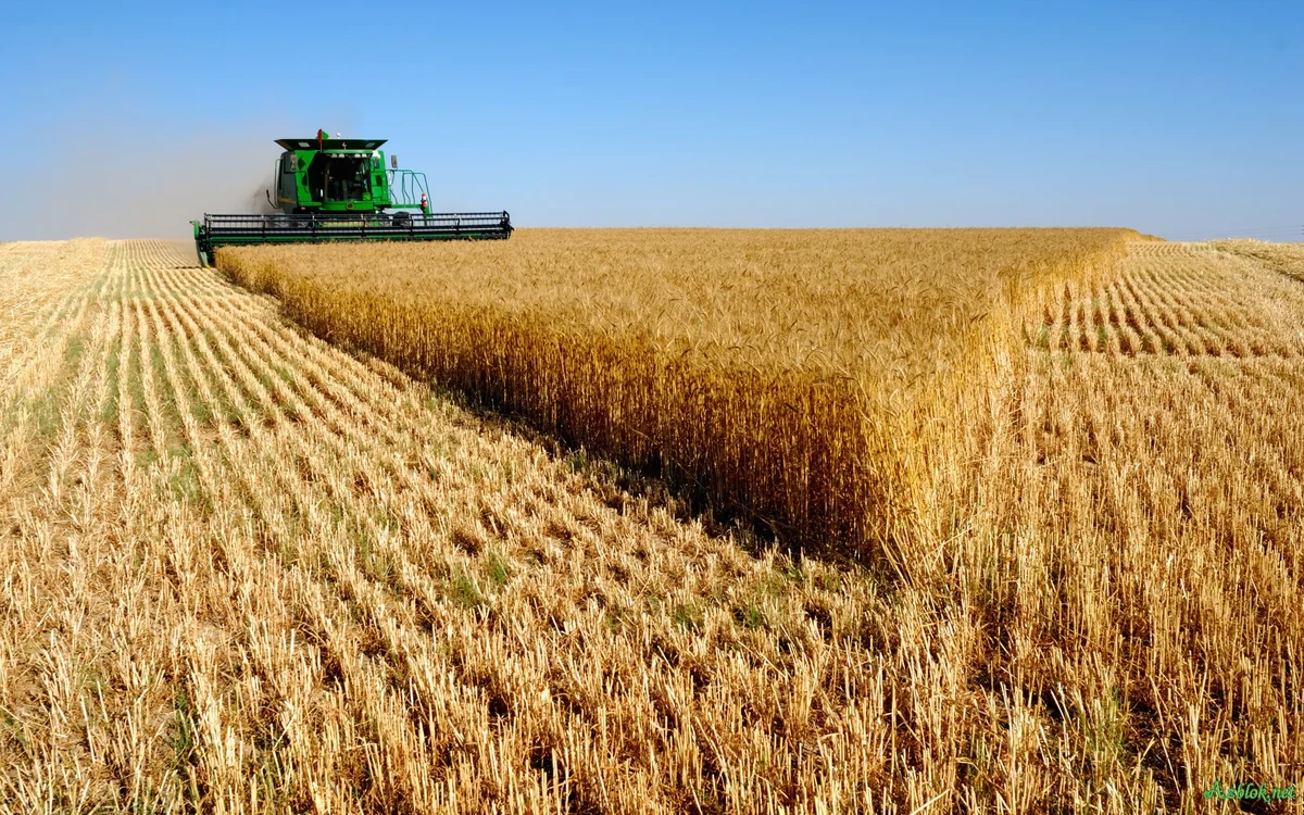 Regulations for provision trading premises for agricultural cooperatives named