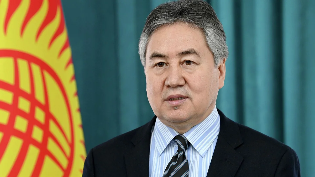 Kyrgyzstan’s FM meets with Executive Secretary of Comprehensive Nuclear-Test-Ban Treaty Organization