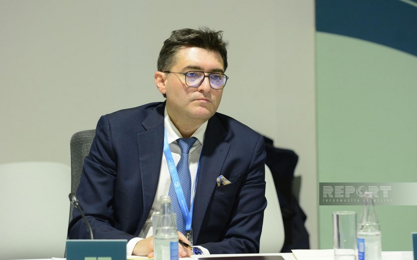 Orxan Zeynalov: Mərkəzi Asiya ölkələri enerji keçidində öndə ola bilərlər