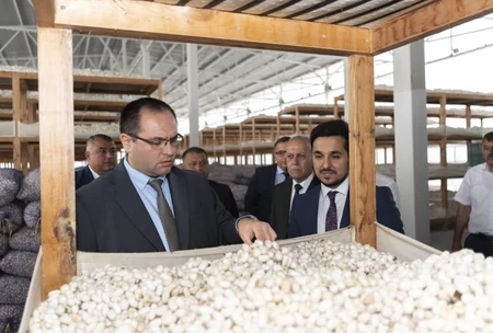 Kənd təsərrüfatı naziri Bərdə və Ağcabədidə fermerlərlə görüşüb