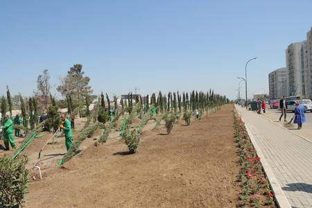 Gəncədə Heydər Əliyev və Zərifə Əliyevanın xatirəsinə ağacəkmə aksiyası keçirilib