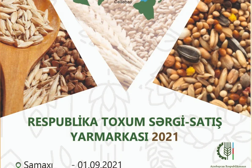 Ölkənin 6 bölgəsində toxum sərgi-satış yarmarkaları keçiriləcək
