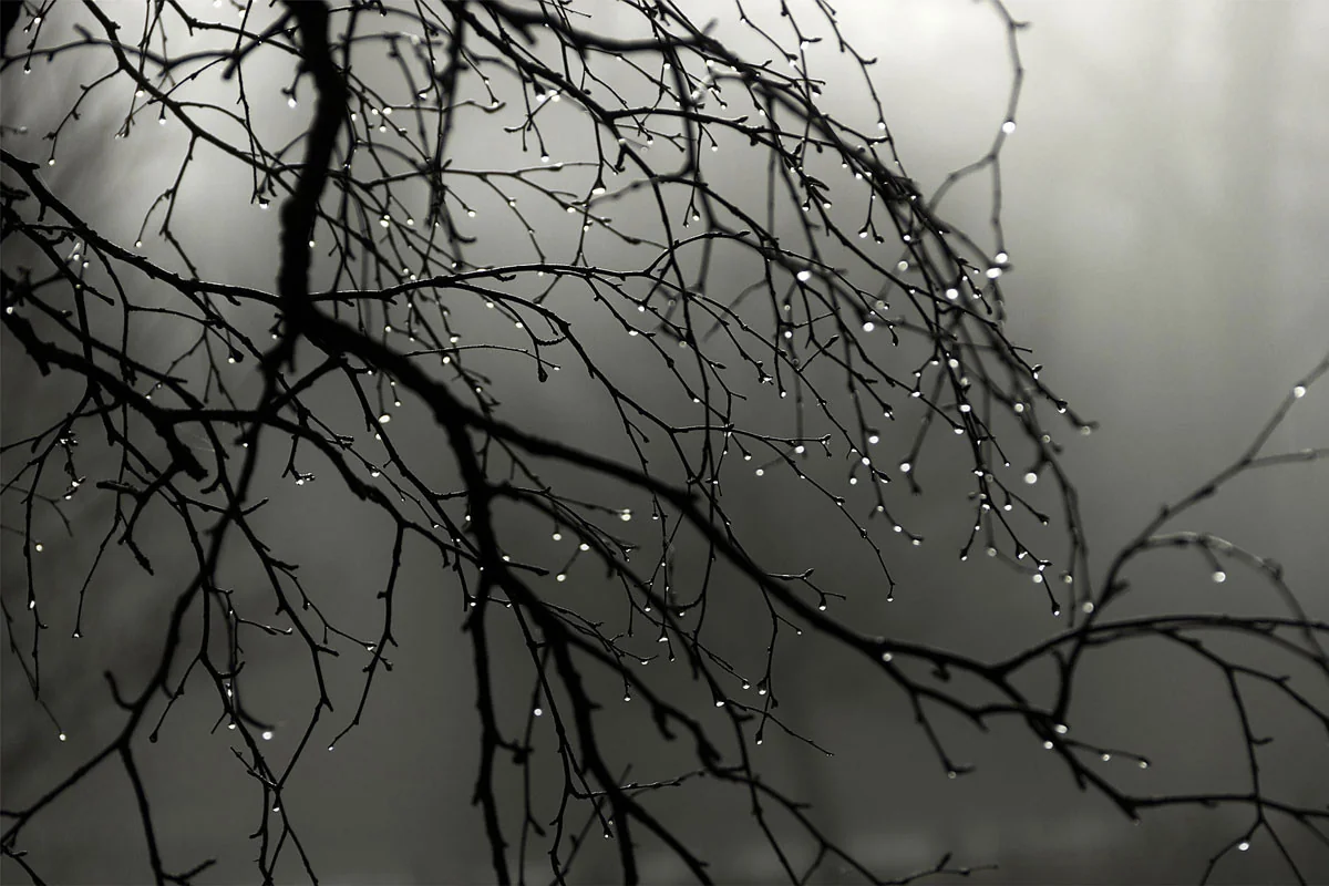 Azerbaijan weather forecast for November 12