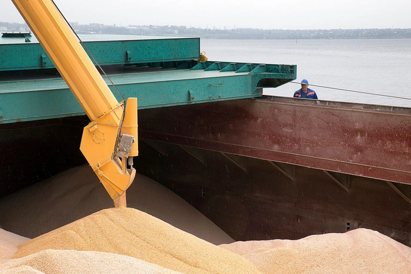 В Сомали прибыло еще одно судно с украинской пшеницей в рамках GrainFromUkraine
