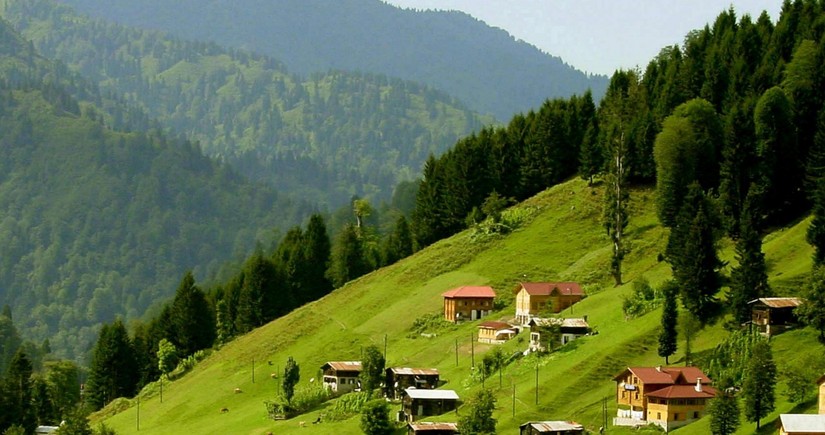 Azərbaycana gələn turistlərin mühüm hissəsi evlərdə gecələyir  – ARAŞDIRMA 