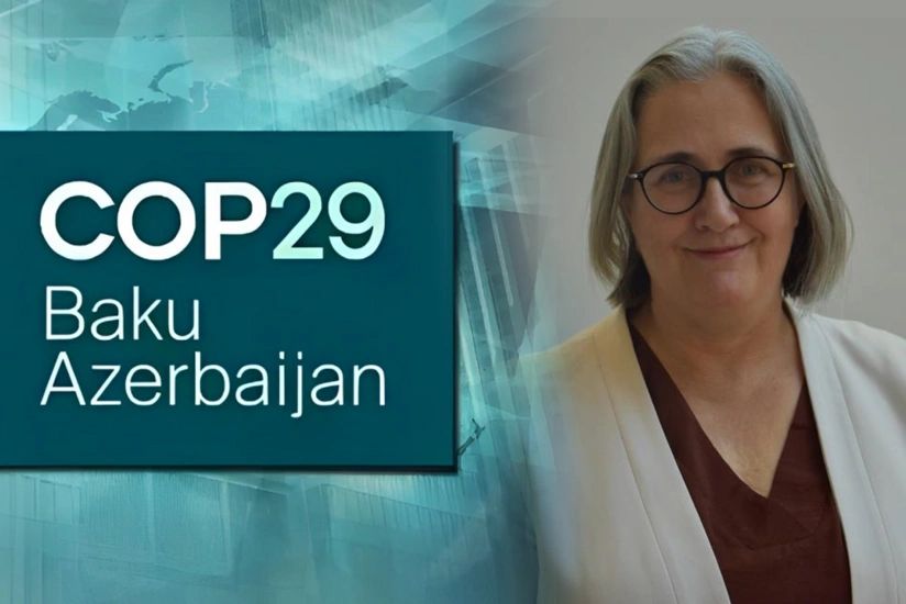 WCO “yaşıl mallar”ın idxalını asanlaşdırır