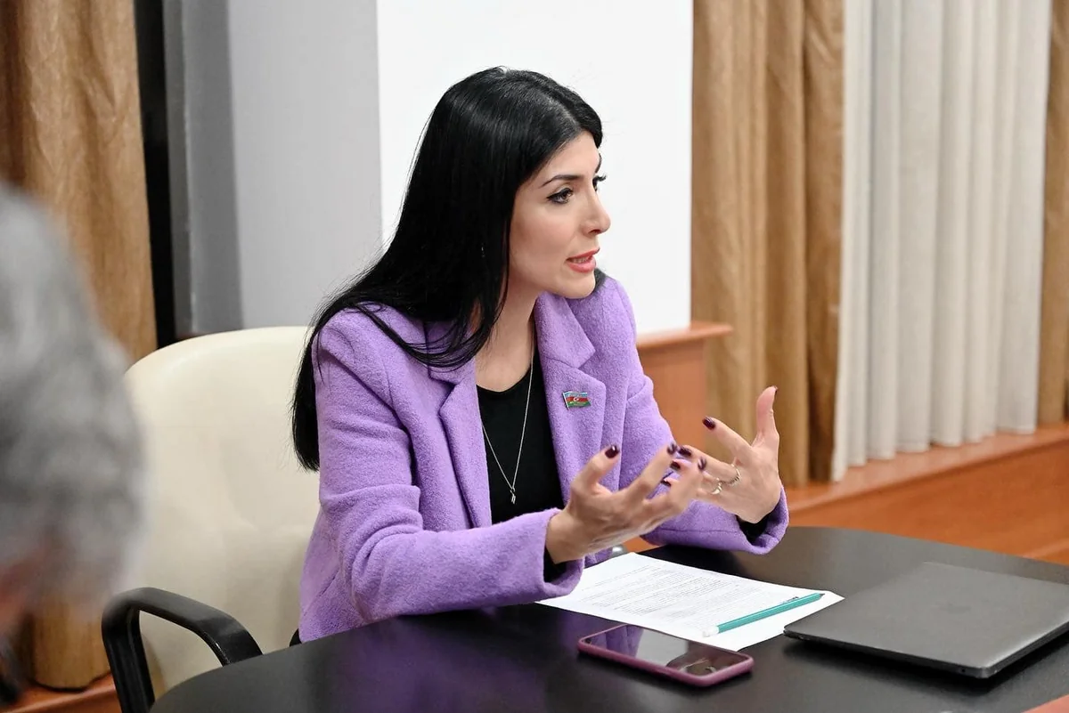 Deputat: “Sərxoş vəziyyətdə moped sürənlər olur”
