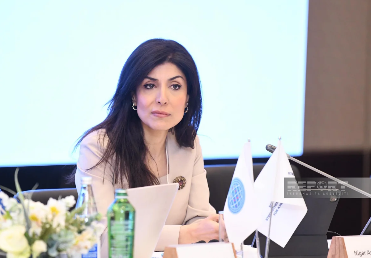Nigar Arpadarai: Azərbaycan Qlobal Cənub QHT Platforması vasitəsilə bir yenilik gətirməyə çalışır