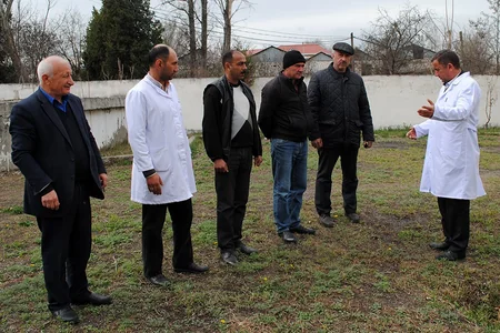 Qazaxda heyvanlar arasında profilaktik peyvəndləmə tədbirləri davam etdirilir