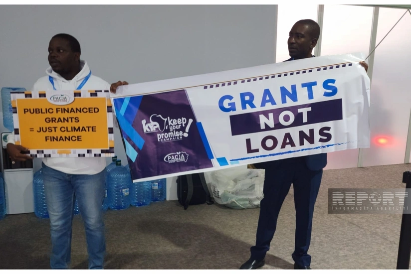 COP29-da ekofəalların növbəti aksiyası baş tutub