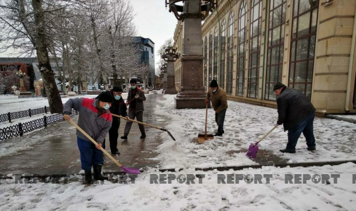 Gəncədə qar bəzi fəsadlar yaradıb - YENİLƏNİB