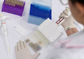 Direktor: CoronaVax vaksini 95-97 faiz effektlidir