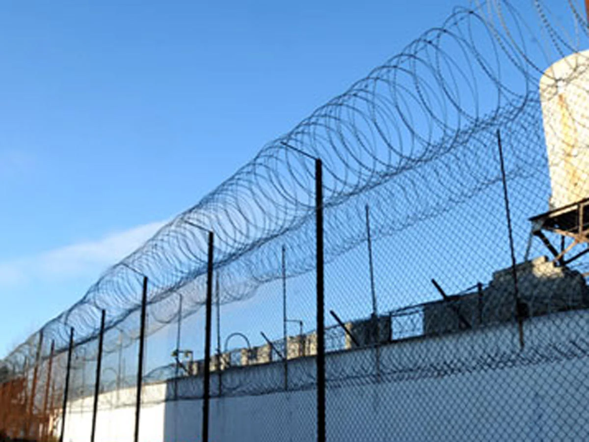 Amnistiyanın tətbiqi qaydaları məlum olub