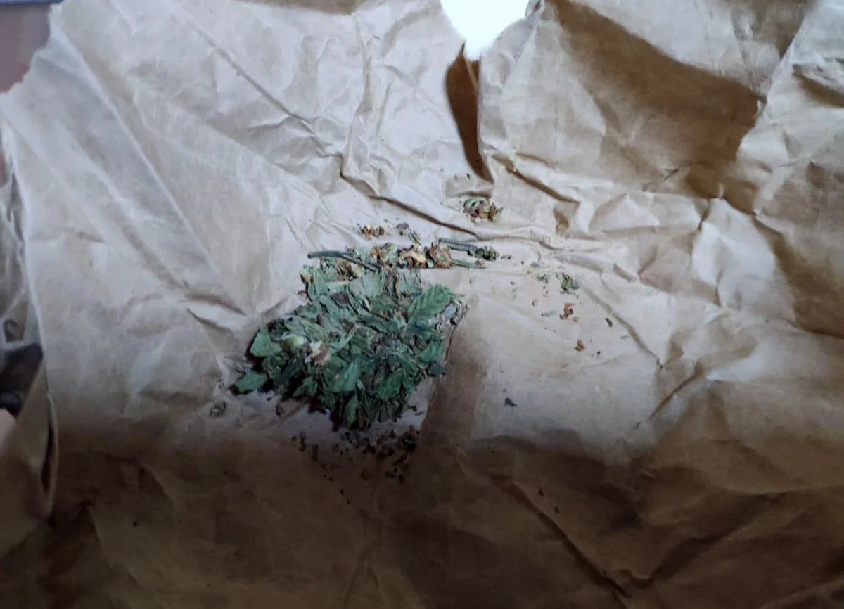 Gürcüstan vətəndaşlarından narkotik vasitələr götürülüb