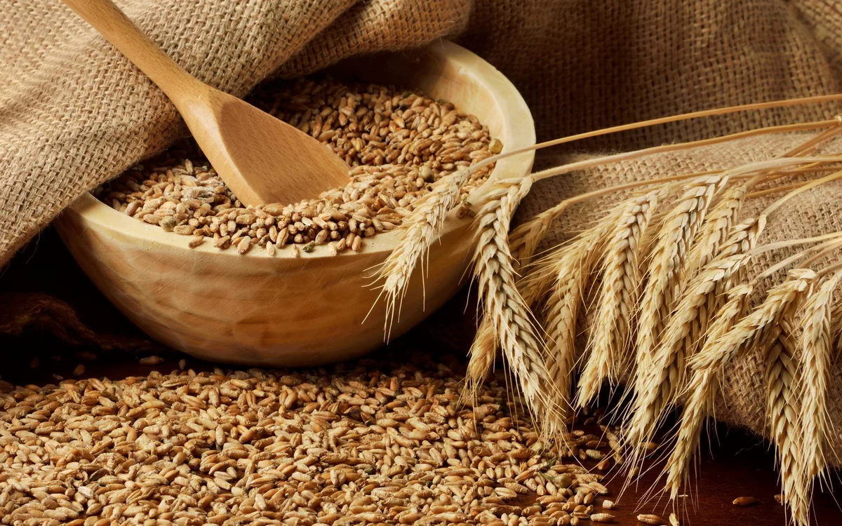 Azerbaijan reduces wheat imports by more than 53%