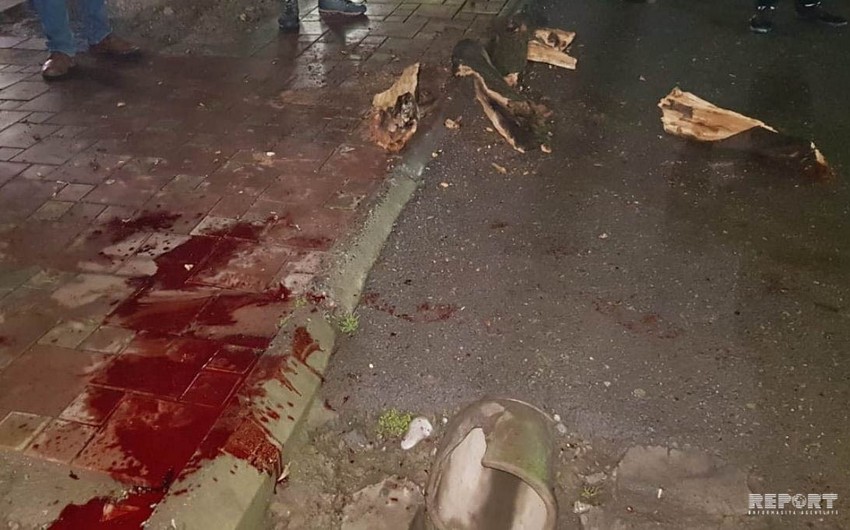 Göyçayda gənc oğlan başına ağac budağı düşməsi nəticəsində ölüb - FOTO