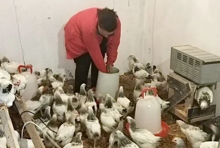 AFAQ layihəsi çərçivəsində Zəngilanda qadın fermerlərə dəstək göstərilib