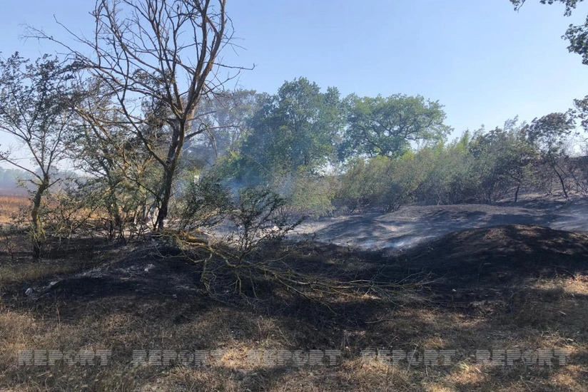 Nabranda yanğının söndürülməsinə helikopter cəlb olunub - YENİLƏNİB