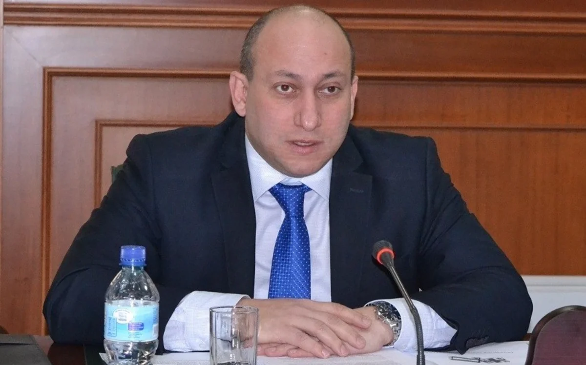 Nazir müavini: “Gürcüstan Cənubi Qafqazda qarşılıqlı anlaşmanın təşviqinə hazırdır”