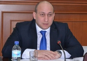 Nazir müavini: “Gürcüstan Cənubi Qafqazda qarşılıqlı anlaşmanın təşviqinə hazırdır”