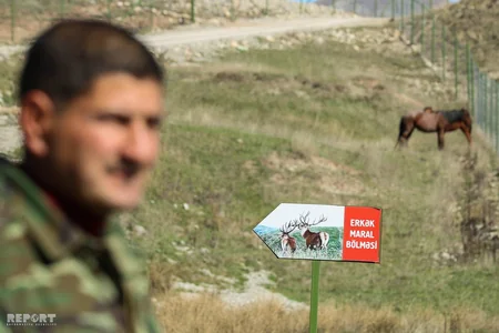 Bir qrup şagirdin Şamaxı Safari Parkına ekskursiyası təşkil olunub - FOTO
