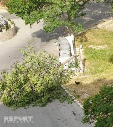 Bakıda külək fəsadlar törədib - FOTO - VİDEO