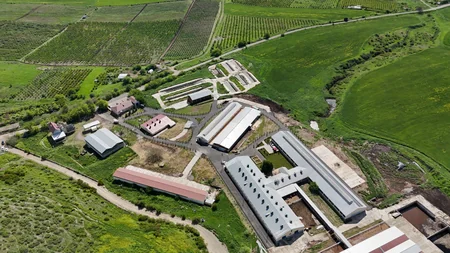 “Qoç Ət” Kəndli Fermer Təsərrüfatı MMC-nin Xocalının Xanabad kəndindəki heyvandarlıq kompleksinin açılışı olub - YENİLƏNİB