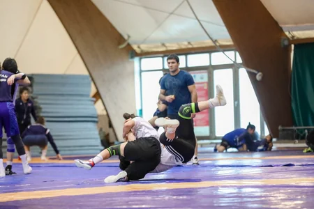 ABŞ-nin 14 güləş mütəxəssisi Azərbaycanda səfərdədir