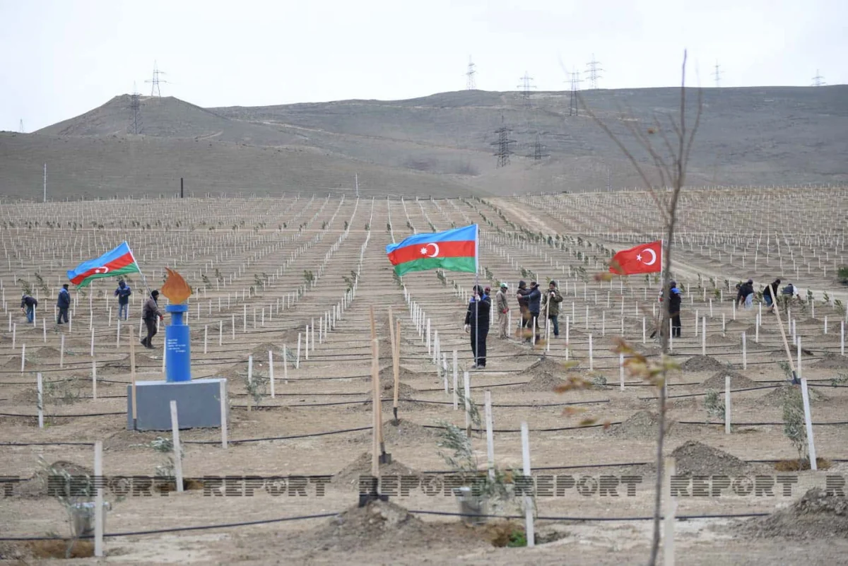 Azərbaycan Türkiyənin aksiyasına qoşulub