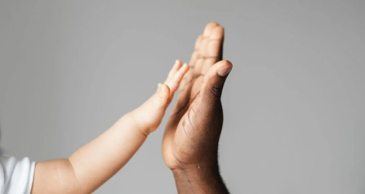 Övladlığa götürülmə ilə bağlı qaydalarda dəyişiklik edildi