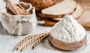 Названы оптовые цены на муку в Азербайджане
