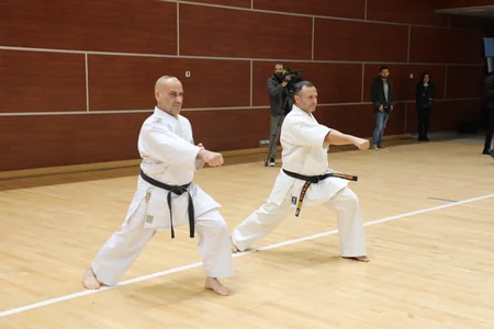 Karate üzrə ümumrespublika seminarı keçirilib