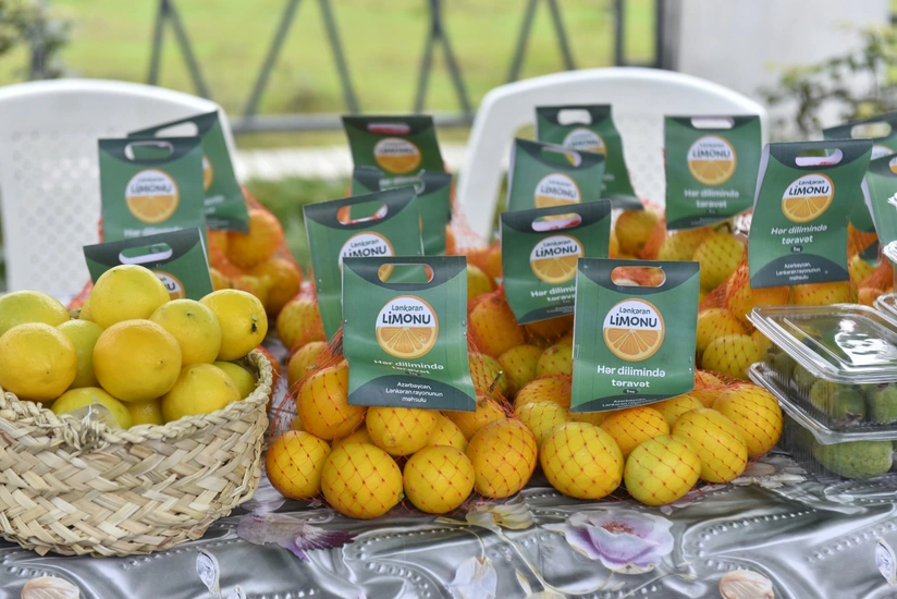 Lənkəran və Lerikdə Aqrar Biznes Festivalları keçirilib