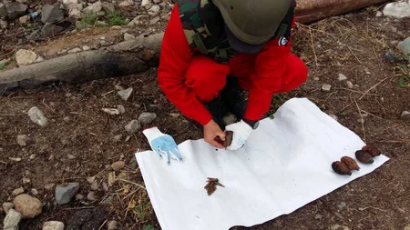 Şəmkirdə 149 partlamamış hərbi sursat tapılıb