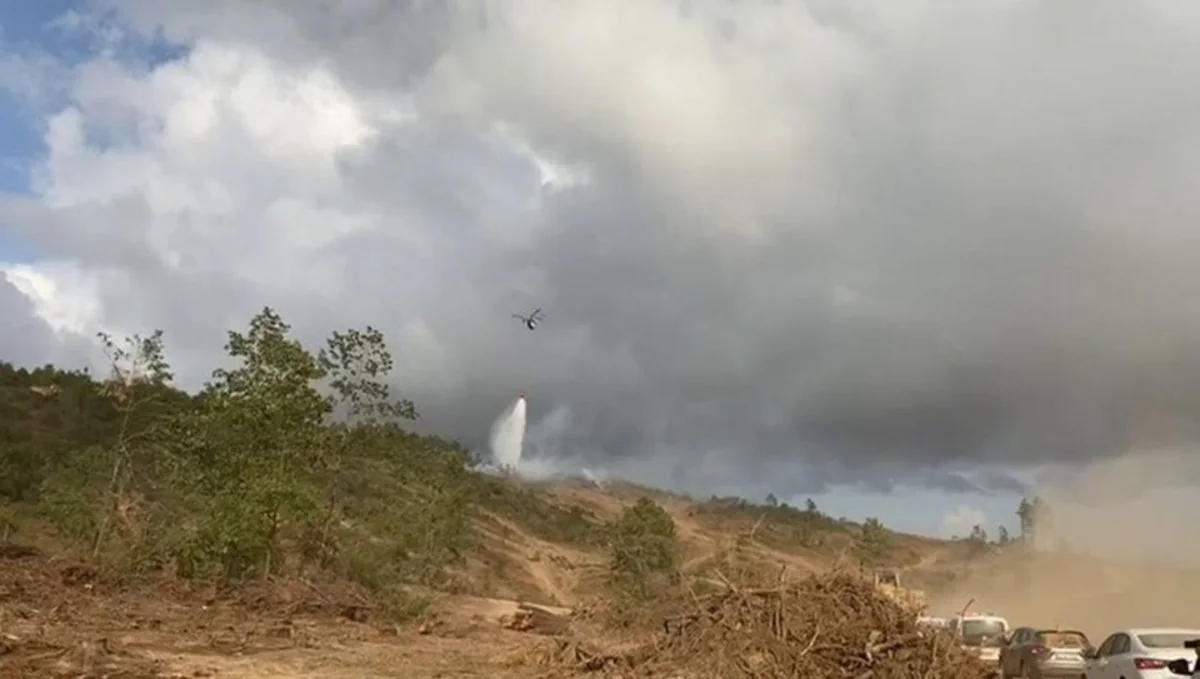 Türkiyədə meşə yanğını olub